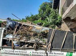 Professional Junk Removal in Cambridge, MN